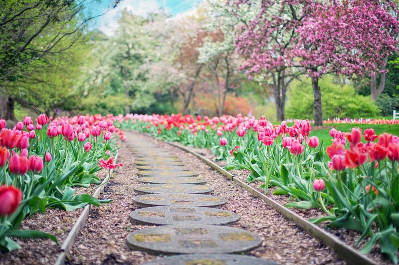 Enchanted Garden Pathway